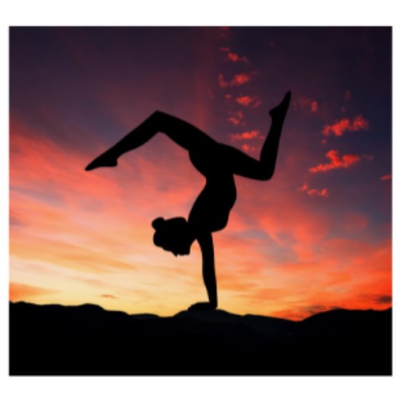 Meet the Posher - Picture 1 of 1